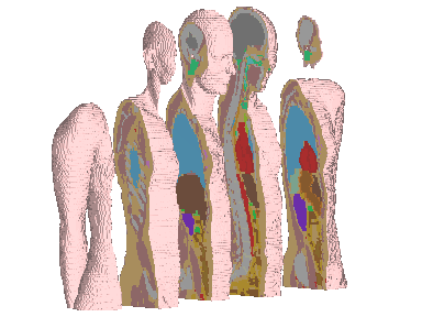 Biomedizintechnik